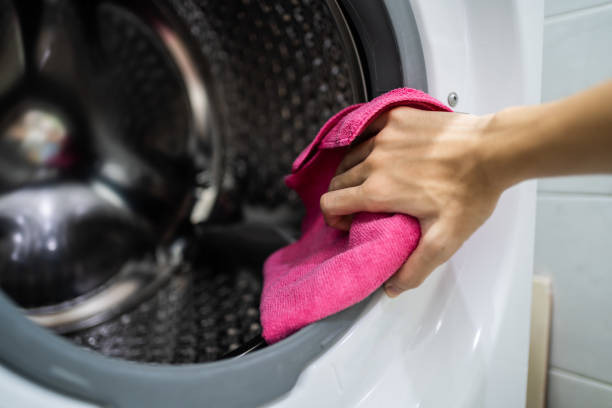 Best Mold Damage Restoration  in East Liverpool, OH