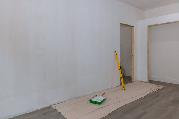 Best Attic Mold Removal  in East Liverpool, OH