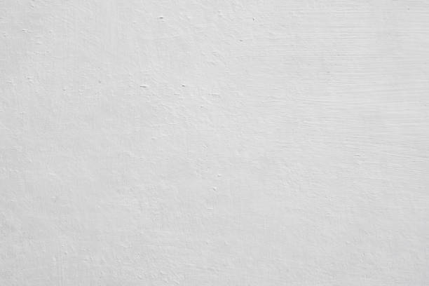 Professional Mold Removal in East Liverpool, OH
