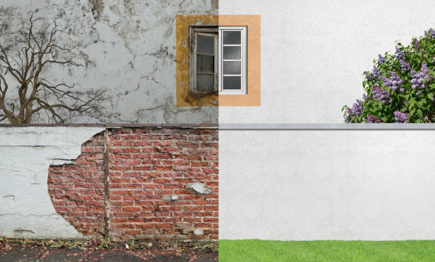 Best Emergency Mold Remediation  in East Liverpool, OH