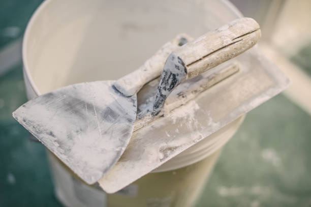 Best Basement Mold Removal  in East Liverpool, OH